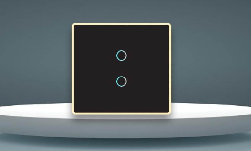 2 Switch Panel